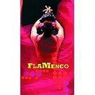Flamenco Box Set